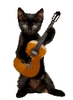 Černá kočka hrající na kytaru
